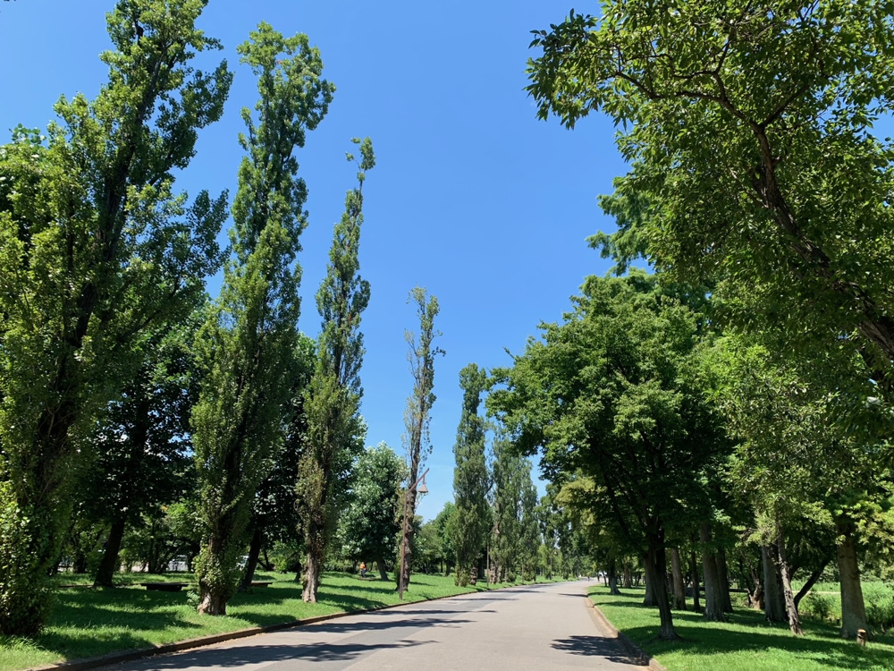 23区最大の公園です!!の画像