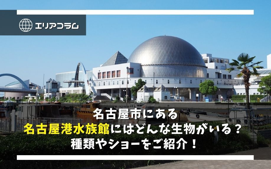名古屋市にある名古屋港水族館にはどんな生物がいる？ 種類やショーをご紹介！の画像