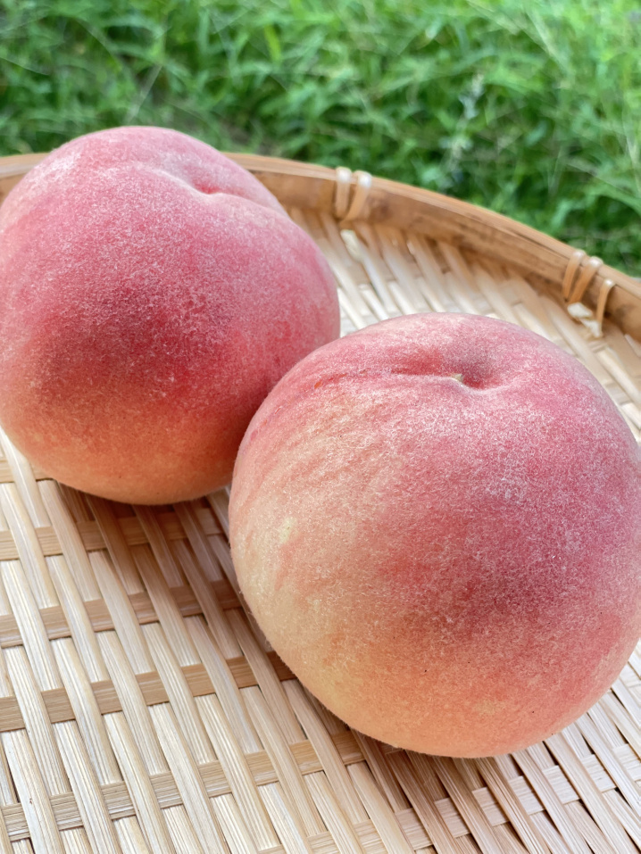 大きな桃！　川中島白桃♪の画像
