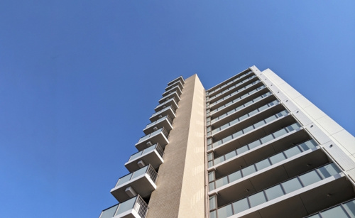 高層階なら大丈夫？虫が苦手な方のための賃貸物件の選び方と防虫対策