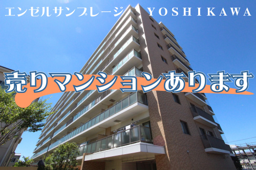 ９月３日：マンションを受託いたしましたの画像