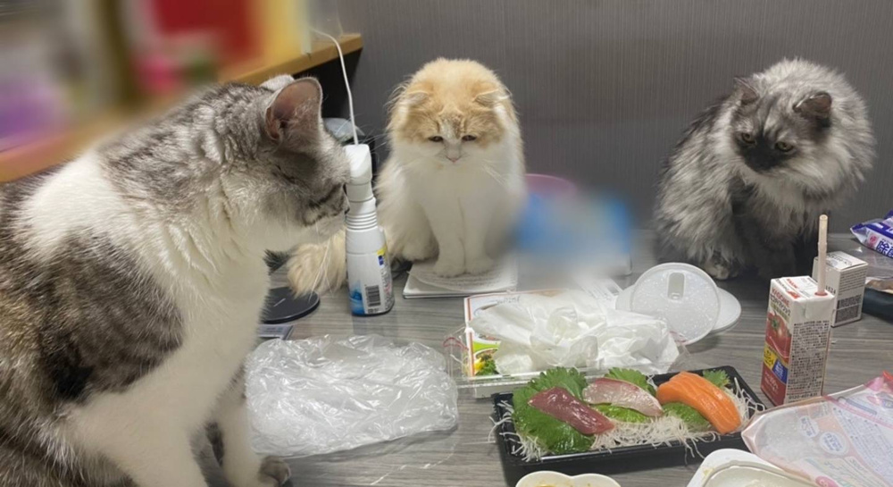 最近雨が凄いですね！の画像