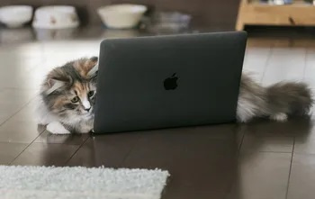 不動産を高く売るの画像