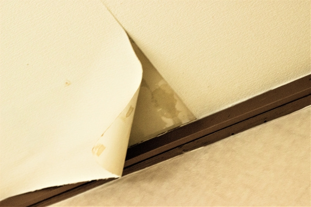 アパートが雨漏りしたときに行うべきこと