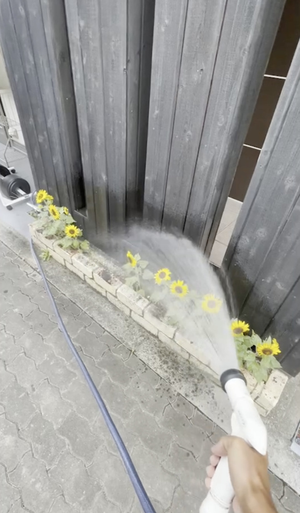 季節は移ろい。。。の画像