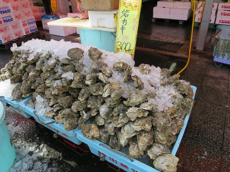 休日の行動♪の画像