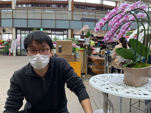 やる気がないからできないを演出する。の画像