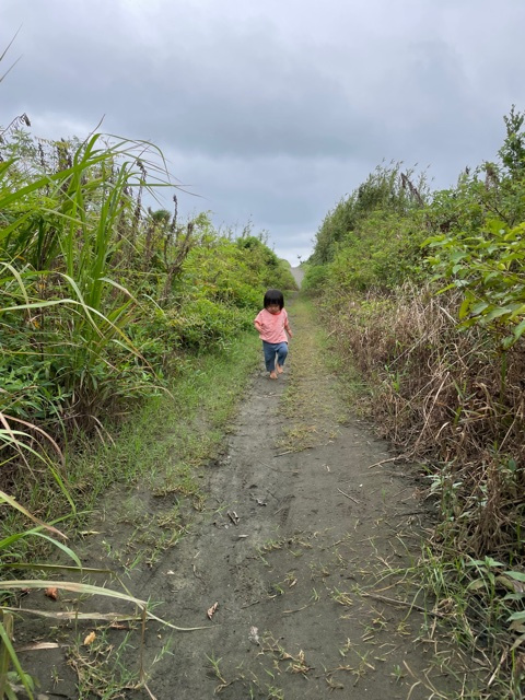 ワクワクの画像