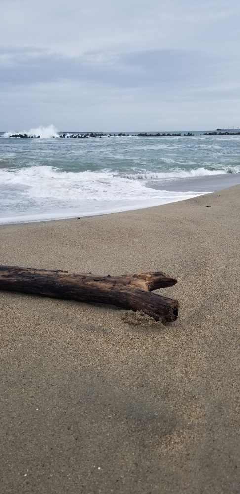 海！の画像