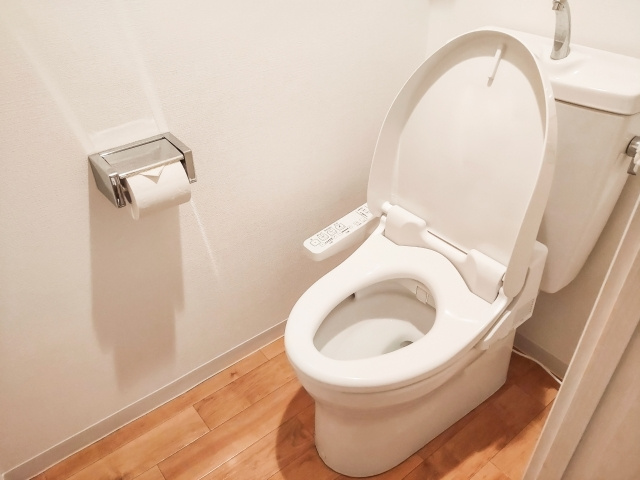 一戸建て住宅の2階にトイレは必要？どんなメリットがあるの？の画像
