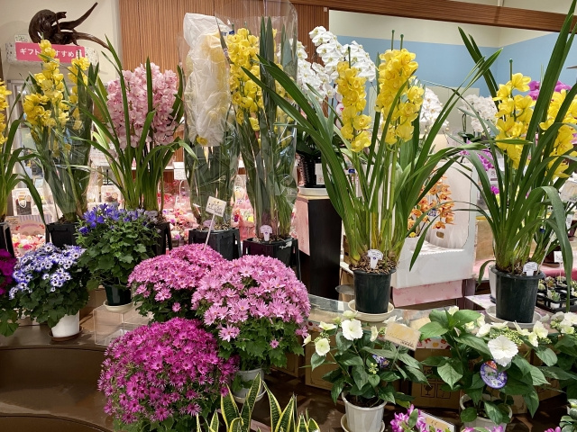 盛岡でおすすめしたい素敵な花屋さんについての画像