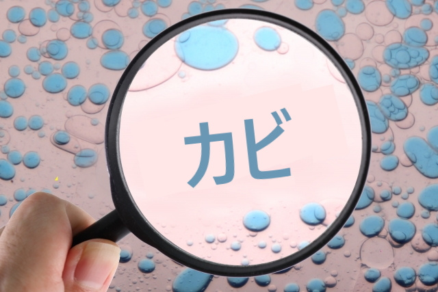 浴室のカビは放っておくと、どんどん広がる！