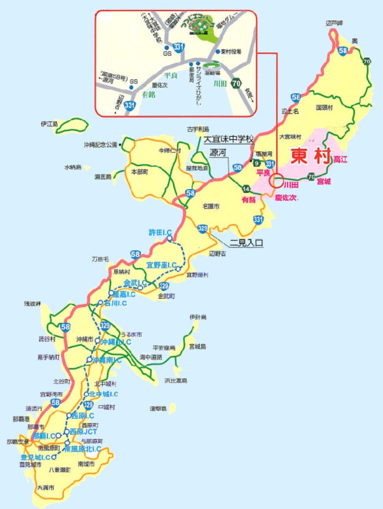 日本一のパイン村♪～東村～の画像