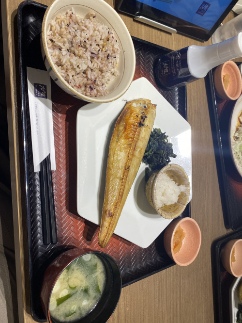 魚ブームが来ています♪の画像