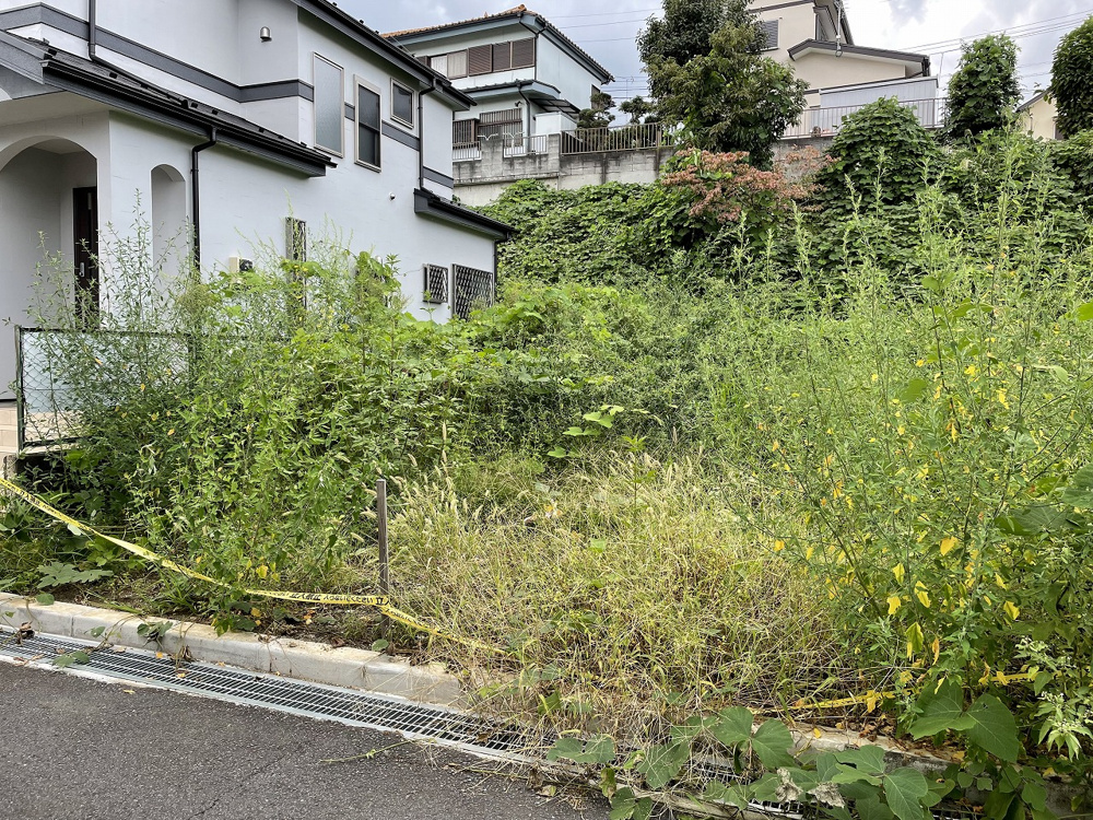 草刈り奮闘記の画像