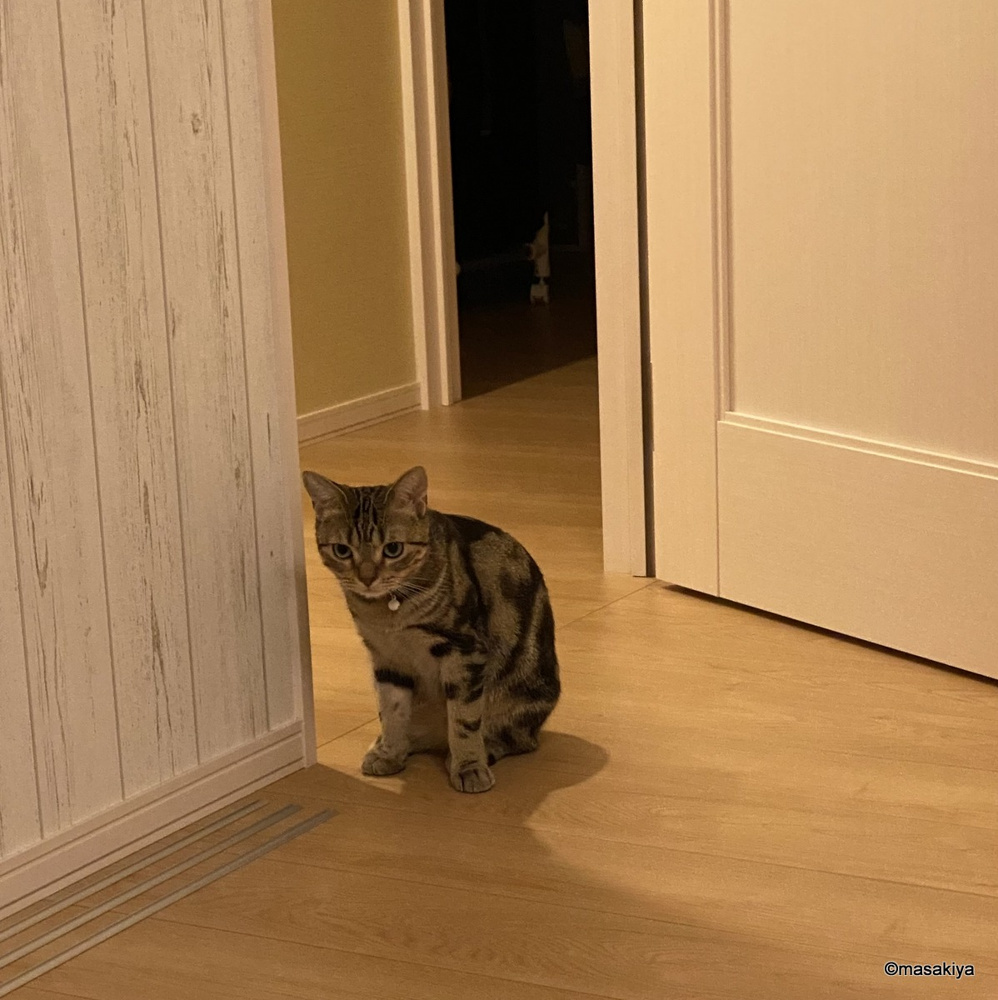 秋分の日の画像
