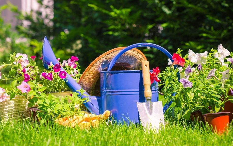 新築戸建の庭をどうするか？～デザイン～