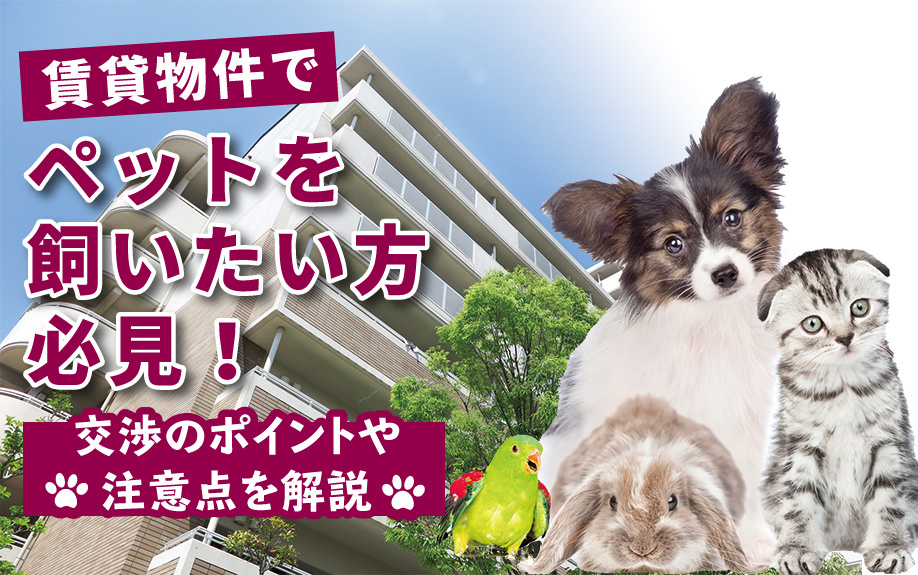 賃貸物件でペットを飼いたい方必見！交渉のポイントや注意点を解説