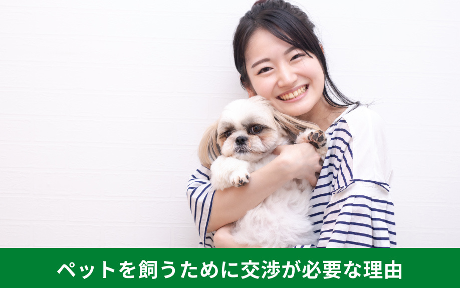 賃貸物件でペットを飼うために交渉が必要な理由
