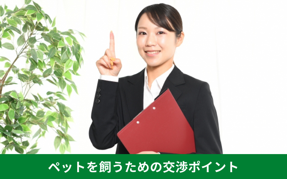 賃貸物件でペットを飼うための交渉ポイント
