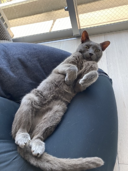 yogibo/埼玉県日高市高麗川/レンタルスペースの画像