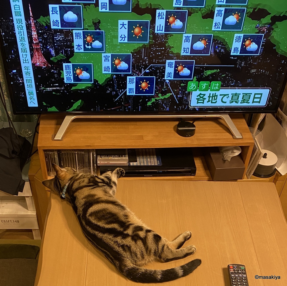 衣替えの画像