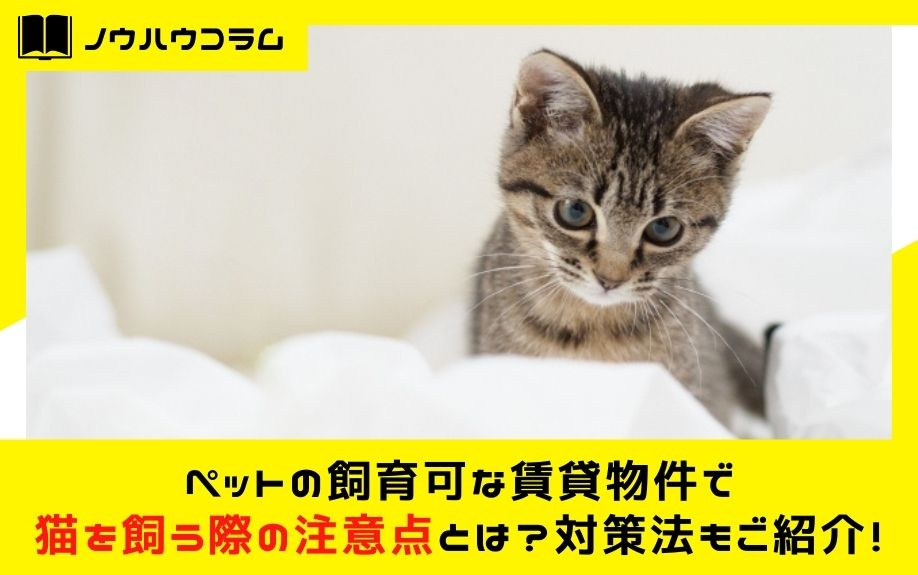 ペットの飼育可な賃貸物件で猫を飼う際の注意点とは？対策法もご紹介！の画像