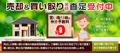 スプラウトの買い取りの画像