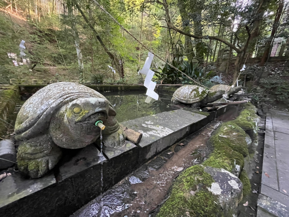 大山崎町の自然に癒されたい方向けです！の画像