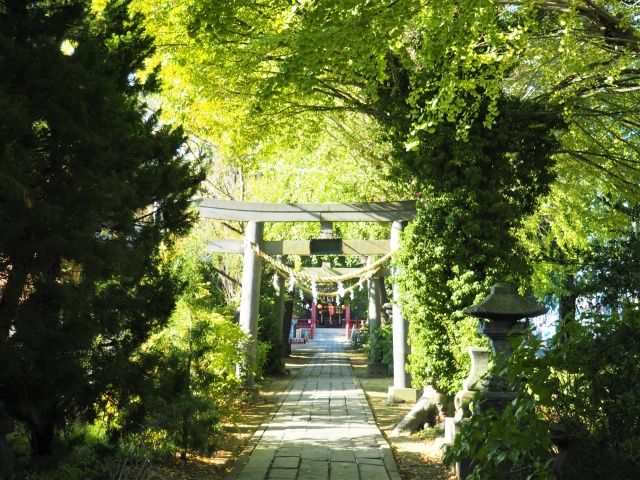 埼玉県三郷市の戸ヶ崎香取神社とは？さまざまな魅力や基本情報をチェック！の画像