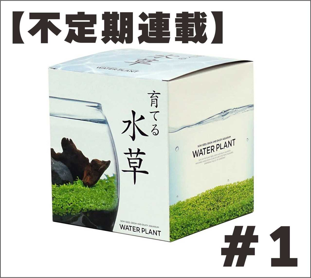 １０月７日：【不定期連載】育てる水草#1の画像