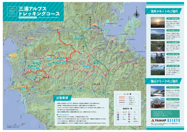 ハードなお散歩の画像