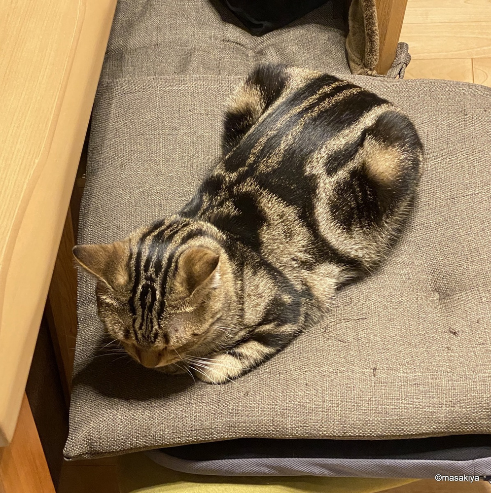 我慢の画像