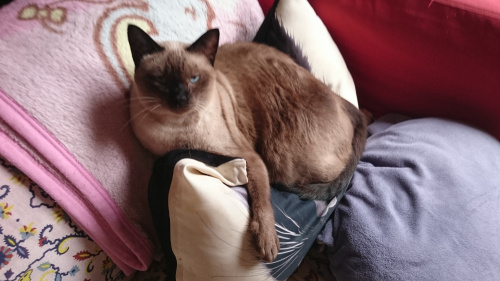 今日のブログは当日更新の画像