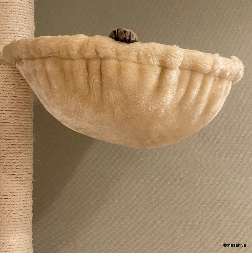 食べて寝るの画像