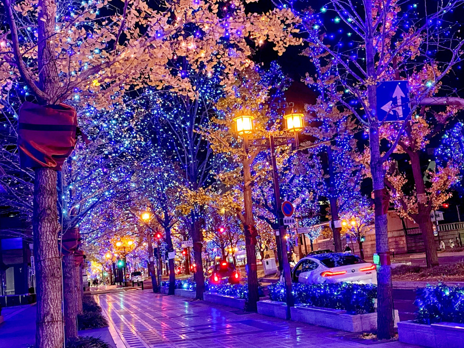 大阪・光の饗宴 2021の画像