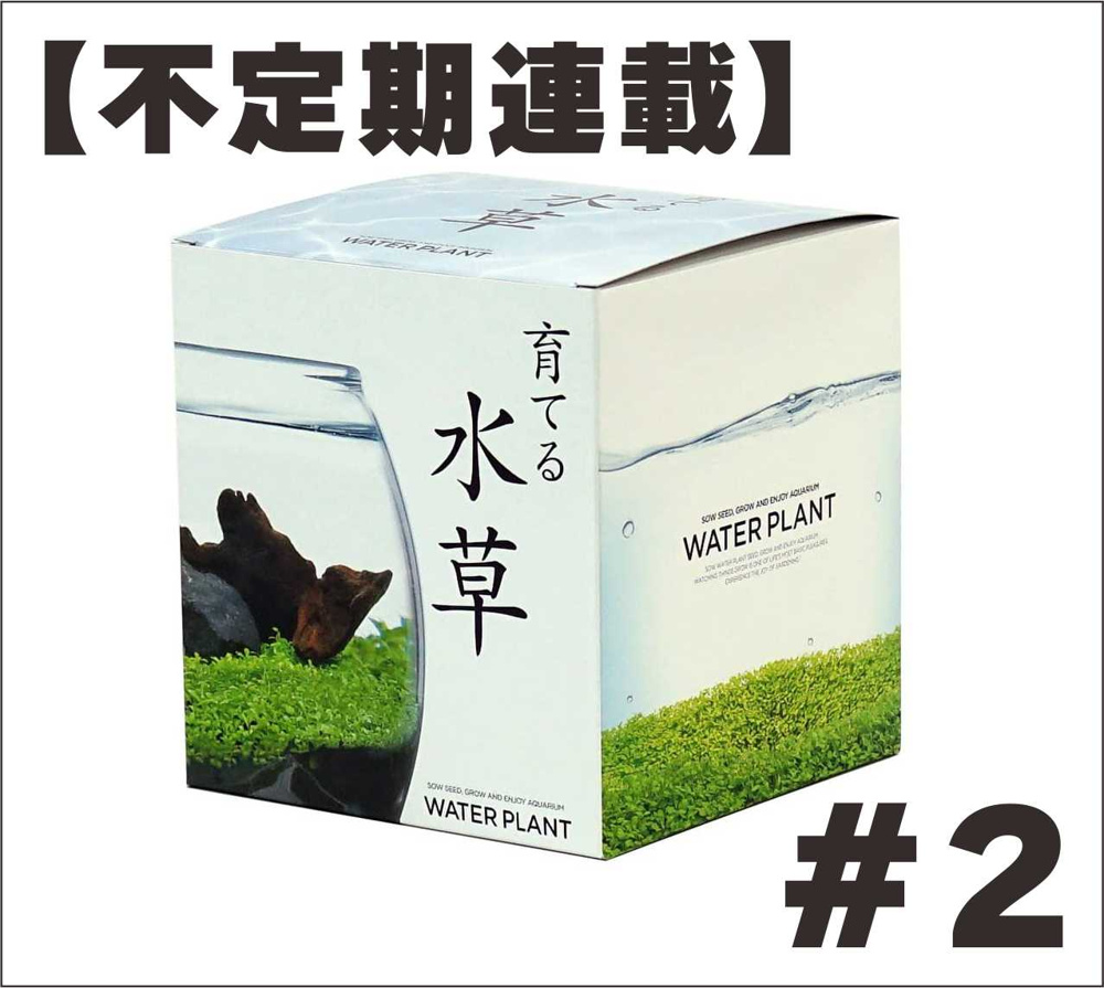 １０月１４日：【不定期連載】育てる水草#2の画像