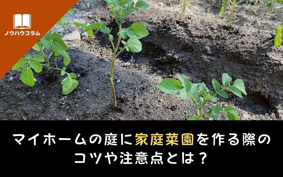 マイホームの庭に家庭菜園を作るコツや注意点とは？の画像