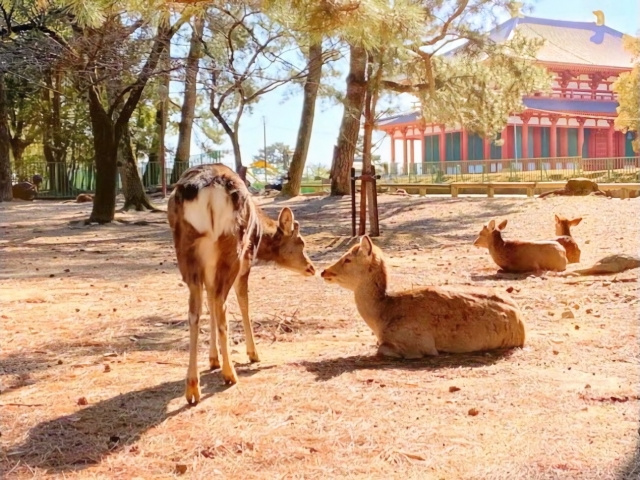 1位は観光地としても有名な県庁所在地の奈良市