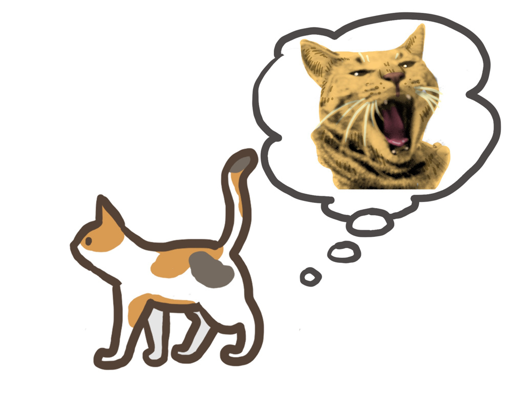 ＲＣ造にした真意とは？！妄想膨らむ中古戸建☆彡の画像