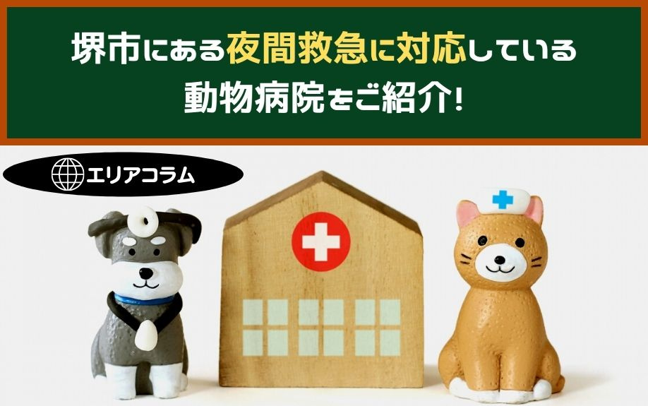 堺市にある夜間救急に対応している動物病院をご紹介！