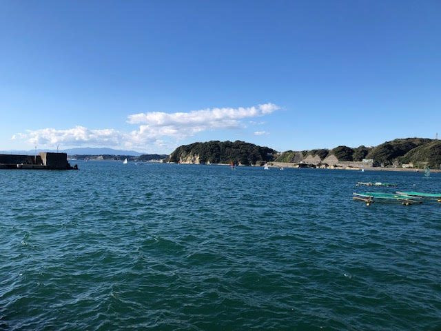 いい天気の画像