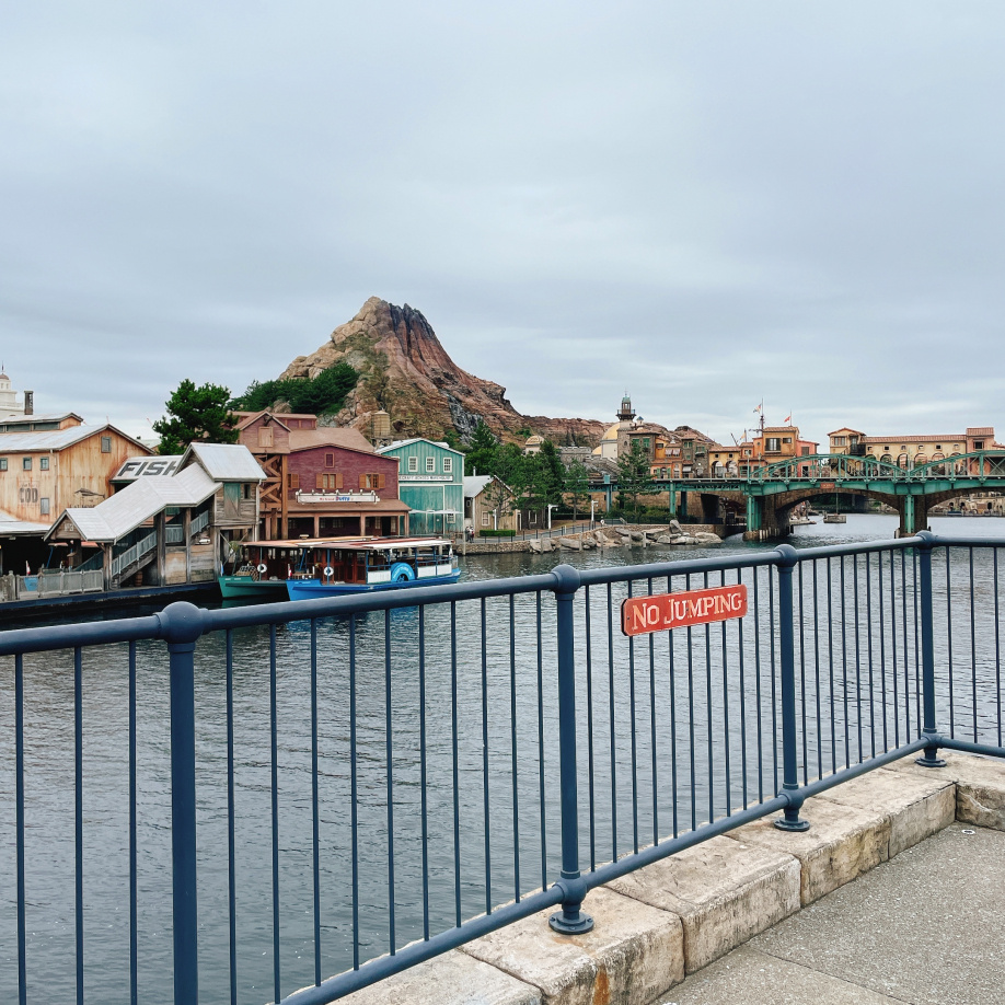 ୨୧＊｡ディズニーに行ってきました＊ﾟ୨୧の画像