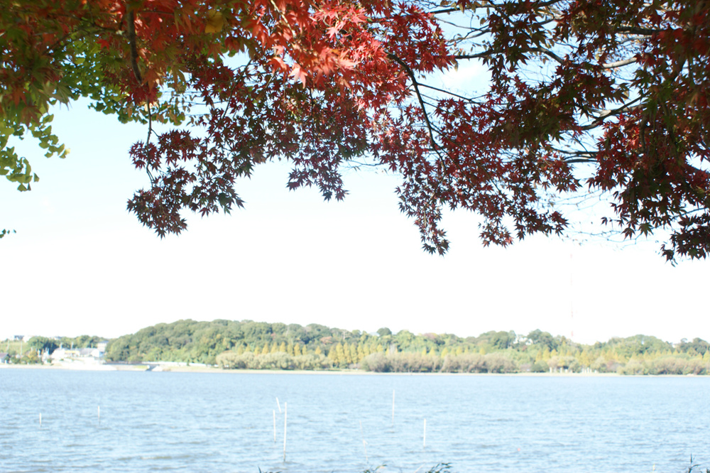 もうすぐ紅葉の季節！浜松市西区でオススメの紅葉スポットをご紹介！の画像