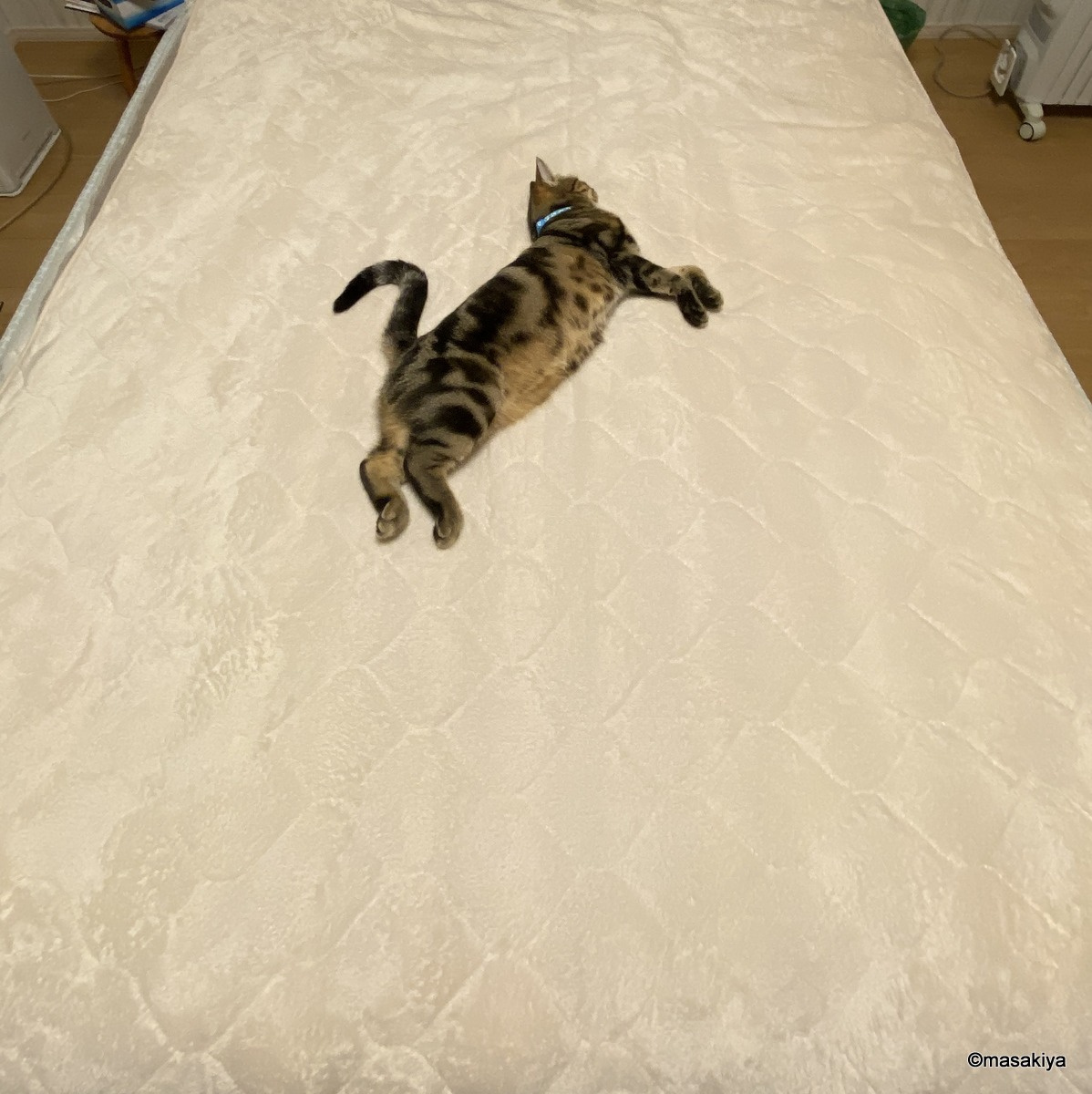 ホットカーペットの季節の画像