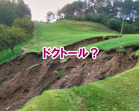 ドクトール？の画像