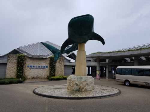 美ら海水族館♪～高山食堂～の画像