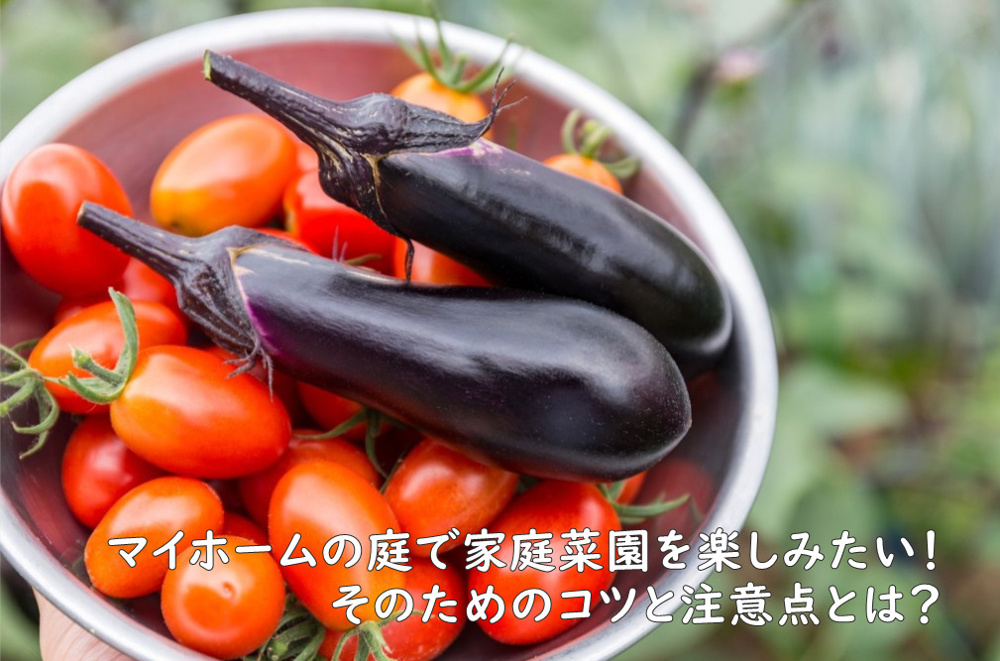 マイホームの庭で家庭菜園を楽しみたい！そんな方への画像