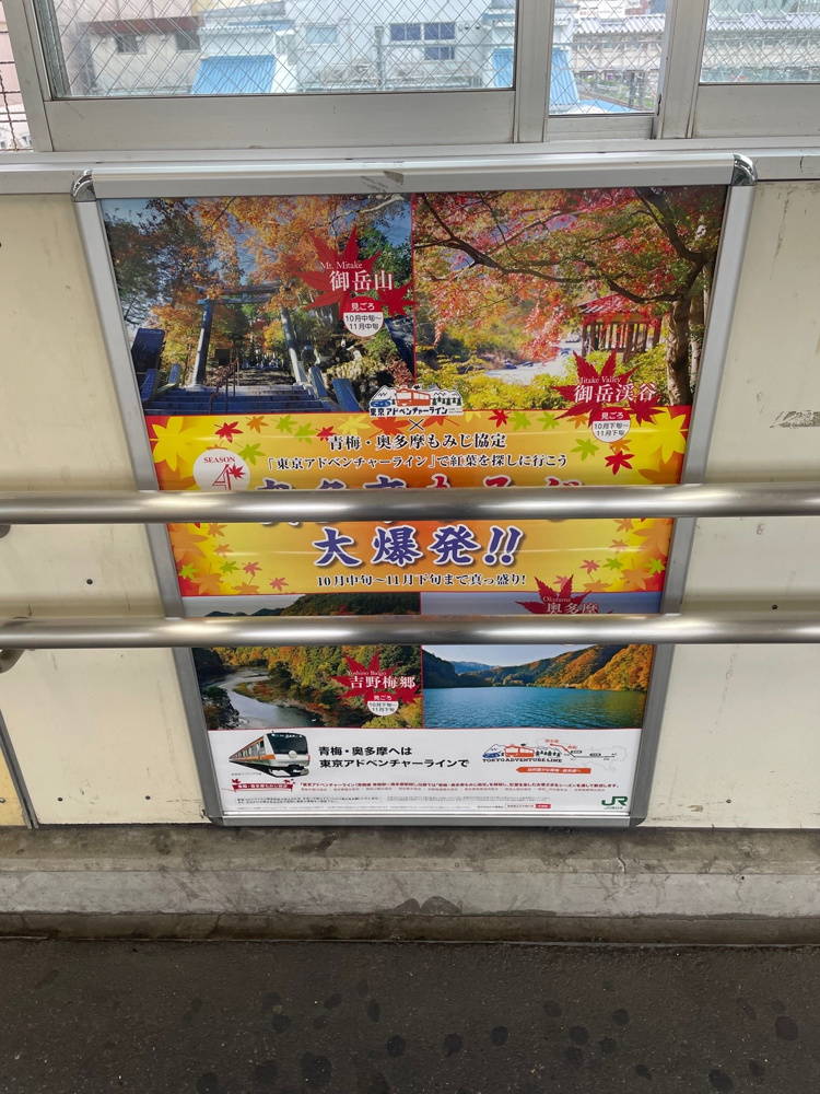 紅葉の画像