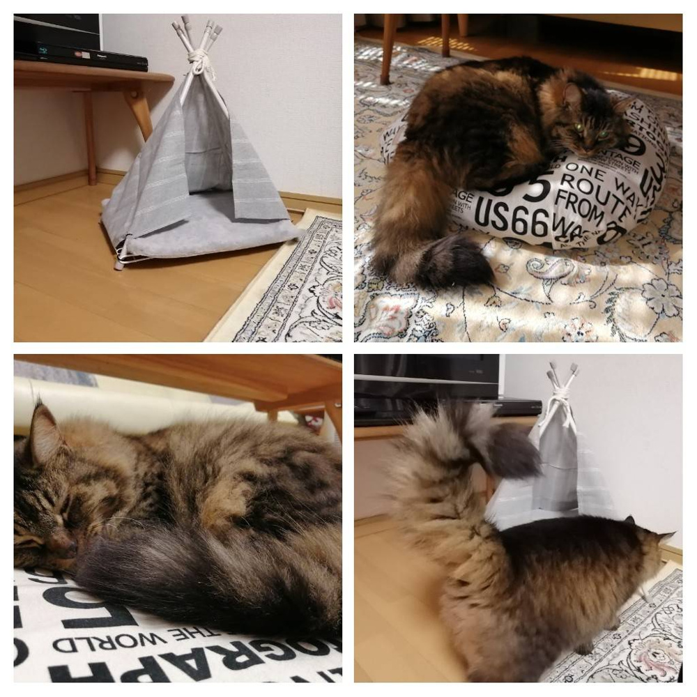 ●大流行中のティピーテントDIY●宇都宮市戸建て情報●　の画像